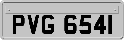 PVG6541