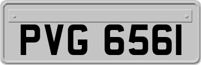 PVG6561