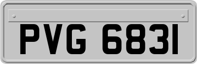 PVG6831