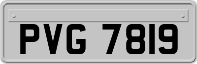 PVG7819