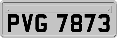 PVG7873