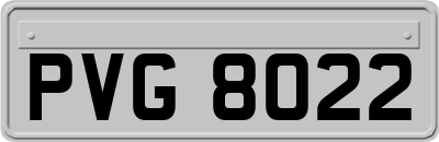 PVG8022