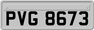 PVG8673