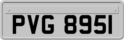 PVG8951