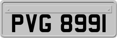 PVG8991
