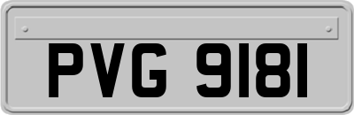 PVG9181