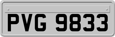PVG9833