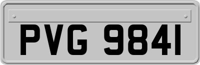 PVG9841