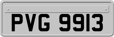 PVG9913