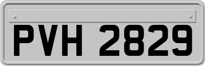 PVH2829