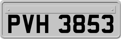 PVH3853
