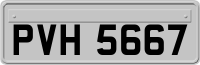 PVH5667