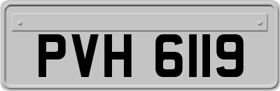 PVH6119