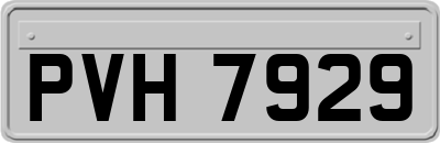 PVH7929