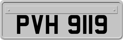 PVH9119