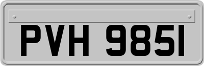 PVH9851