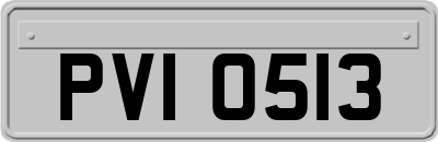 PVI0513