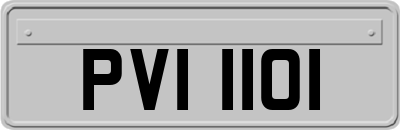 PVI1101