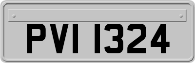 PVI1324