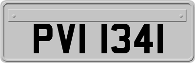 PVI1341