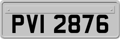 PVI2876