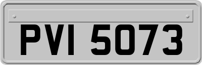 PVI5073