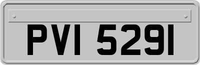 PVI5291