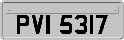 PVI5317