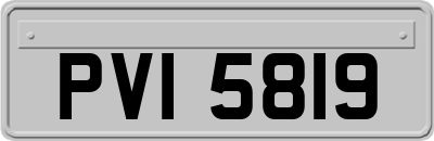 PVI5819