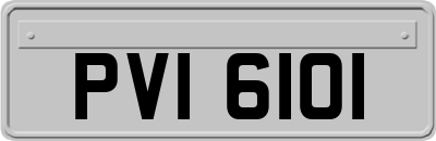 PVI6101