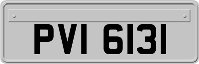 PVI6131