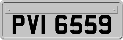 PVI6559