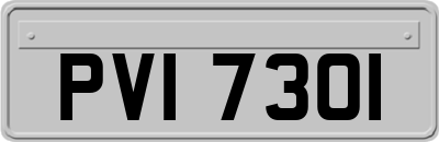 PVI7301