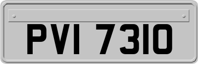 PVI7310