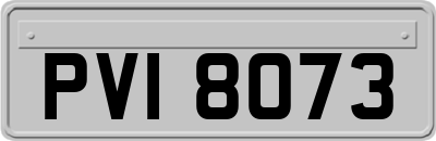 PVI8073