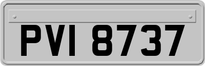 PVI8737