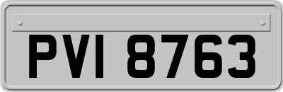 PVI8763