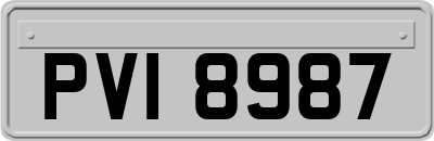 PVI8987