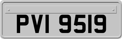 PVI9519