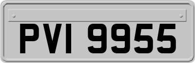 PVI9955