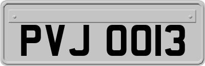 PVJ0013