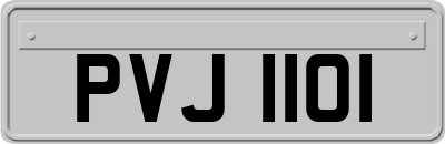 PVJ1101