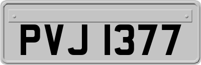 PVJ1377