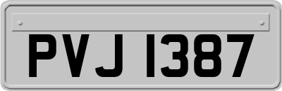 PVJ1387