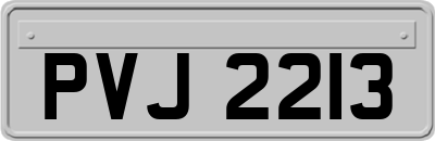 PVJ2213