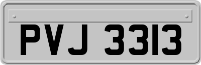 PVJ3313