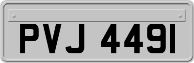 PVJ4491