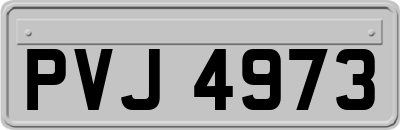 PVJ4973