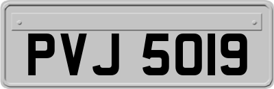 PVJ5019