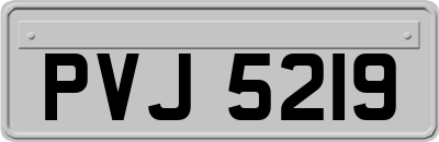 PVJ5219